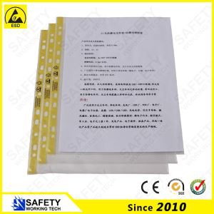 ESD 11 aukude hoidja